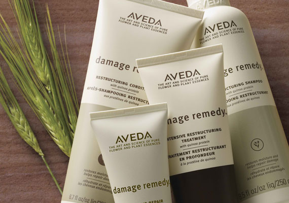 Aveda Hair Care: Damage Remedy